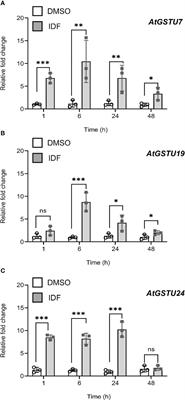 Selective herbicide safening in dicot plants: a case study in Arabidopsis